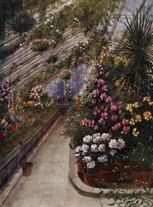 Kew Gardens: A zöld ház (színes litó)