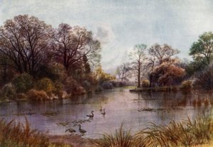 Kew Gardens: A tó (színes litó)