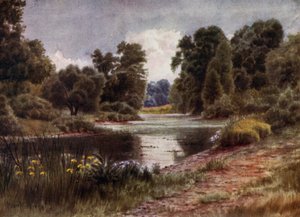 Kew Gardens: A tó délre nézve (színes litho)