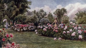 Kew Gardens: A bazsarózsa (színes litó)