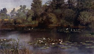 Kew Gardens: A tavirózsa-tó (színes litó) alkotó: Thomas Mower Martin