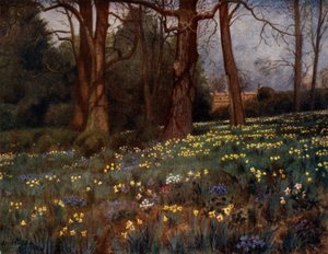 Kew Gardens: A vad kert tavasszal (színes litó)