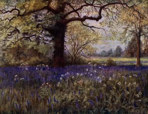 Kew Gardens: Vad jácintok (színes litó)