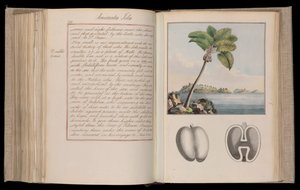 Etiópiai Afrika. "A földgömb körvonalai" vagy "Képzeletbeli világkörüli utazás" huszonhárom kötetben - Thomas Pennant (1726-1798) természettudós, utazó és író elbeszélései, természetrajzai és vázlatai. alkotó: Thomas Pennant