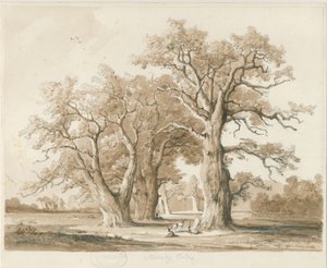 Teddesley Hall – Tölgyfák: ceruza- és mosórajz, nd [1842. nov.] (rajz)