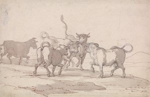 Öt bikából álló csoport, amely éppen harcra készül alkotó: Thomas Rowlandson
