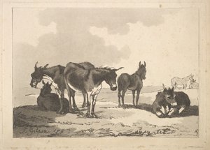 Egy csoport öt szamár, három álló, két fekvő, 1783-87. alkotó: Thomas Rowlandson