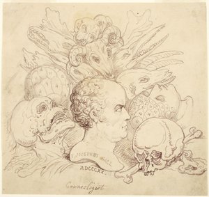 F. Josephus Gall, koponyatani kutató alkotó: Thomas Rowlandson