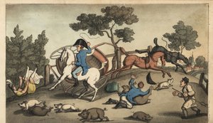 Johnny és egy hölgy összeomlik egy sertéscsordában. Kézi színű rézmetszet, W. Read Thomas Rowlandson illusztrációja után Alfred Burton: Johnny Newcombe kalandjai a haditengerészetben, Simpkin, London alkotó: Thomas Rowlandson