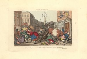Az ajtóhoz szorított embert egy feldühödött ökör szarvai. alkotó: Thomas Rowlandson