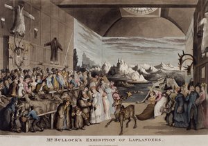 Bullock úr lappföldi kiállítása az Egyptian Hallban, Piccadillyben, 1822 (akvatinta) alkotó: Thomas Rowlandson
