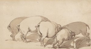 Sertések az etetőnél alkotó: Thomas Rowlandson