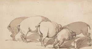 Disznók a vályúnál, 1790 körül (grafit tollal és tintával és barna mosással papíron) alkotó: Thomas Rowlandson