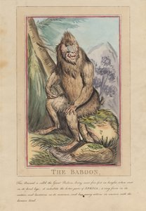 Nyolc darabos sorozat címlappal. „Külföldi és hazai állatok.” 2. Az oroszlán alkotó: Thomas Rowlandson