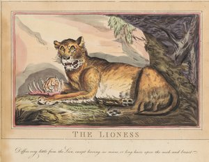 Nyolc darabos sorozat címlappal. „Külföldi és hazai állatok.” 4. A tigris alkotó: Thomas Rowlandson