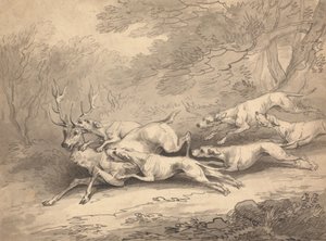 Egy kutyafalkával lelőtt szarvas alkotó: Thomas Rowlandson