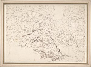 A fák tanulmányozása alkotó: Thomas Rowlandson
