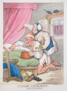 Nyári mulatság. Bogárvadászat alkotó: Thomas Rowlandson