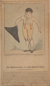 A szörnyű csúszómászó; avagy egy újonnan felfedezett állat alkotó: Thomas Rowlandson