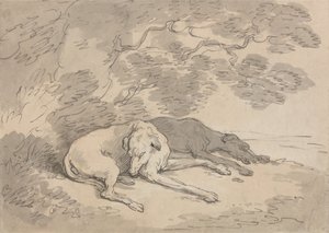 Két agár fekszik egy fa alatt alkotó: Thomas Rowlandson