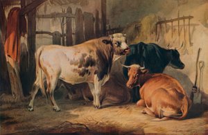 Egy bika és három tehén egy istállóban, 1856