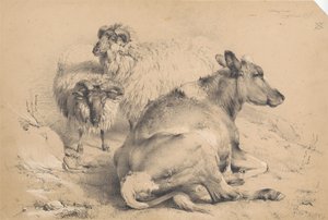 Egy tehén és két kos alkotó: Thomas Sidney Cooper