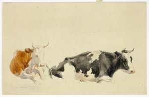 Két fekvő tehén (recto); Vázlat álló tehénről (verso) alkotó: Thomas Sidney Cooper