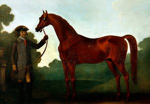 Charles Wilson úr arabja vőlegénnyel (olaj, vászon)