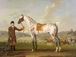 Scipio, Roche ezredes foltos vadásza, 1750 körül
