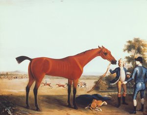 Devonshire hercegének versenylovai, „gyermekei”