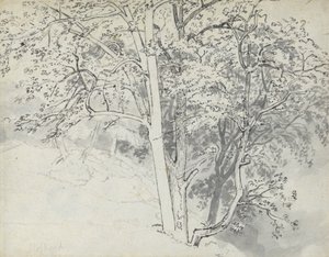 Fák tanulmányozása alkotó: Thomas Stothard