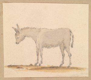 Szamártanulmány, 1820 körül (toll, tus, tus, vízfesték, akvarell) alkotó: Thomas Streatfeild