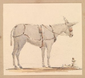 Szamár tanulmánya kantárral és hámmal, 1820 körül (ceruza, barna és szürke mosás, papír) alkotó: Thomas Streatfeild