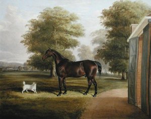 Bay Horse terrierrel alkotó: Thomas W. Bretland