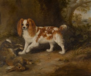 Spániel döglött nyúllal, 1822-74 körül (olaj, vászon) alkotó: Thomas W. Bretland