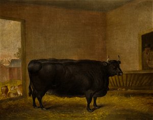 A Prize Bull: A Fat Kerry Cow, c.1819 (oil on canvas)   1376582   hu       hungarian Successfully Translated  Original: Portret van Stéphane Mallarmé Translat: Portret van Stéphane Mallarmé 1382037 hu hungarian Successfully Translated Original: Mountainous