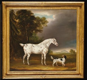 Appaloosa ló és spániel, 1807
