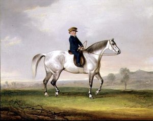 Edward Humphries mester a szürke póniján alkotó: Thomas Weaver