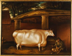 A fehér üsző, aki utazott, egy emberrel, aki fehérrépát szeletel egy istálló udvarán, 1811 alkotó: Thomas Weaver