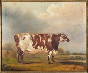 Wildair, nyolcéves üsző folyami tájon, 1827 alkotó: Thomas Weaver