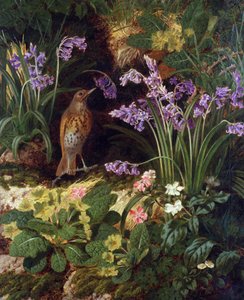 Grive musicienne alkotó: Thomas Worsey