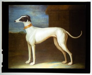 Egy kedvenc agár alkotó: Thomas of Pall Mall Butler