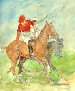 Polo meccs