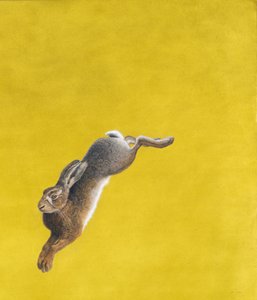 A Leap-Yellow, akvarell és gouache Arches 640 g/m2 papíron, 101,6 x 86,3 cm