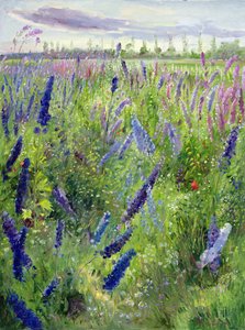 Delphiniumok és feltörekvő nap alkotó: Timothy Easton
