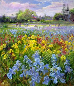 Kapálócsapat és Iris Fields alkotó: Timothy Easton