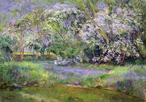 Woodland Hives alkotó: Timothy Easton