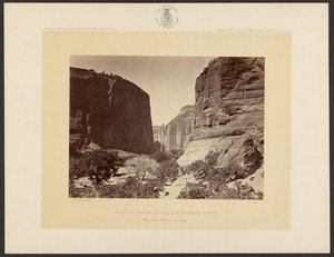 A Cañon de Chelle feje, lefelé tekintve. A falak körülbelül 1,200 láb magasak. alkotó: Timothy H. O