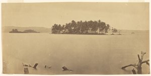 [Darién-földszoros (Panama)] alkotó: Timothy H. O