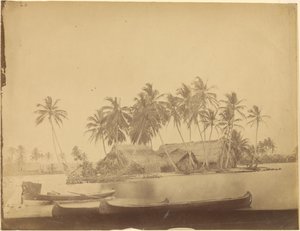 [Limón-öböl, Darién-folyó (Panama)] alkotó: Timothy H. OSullivan